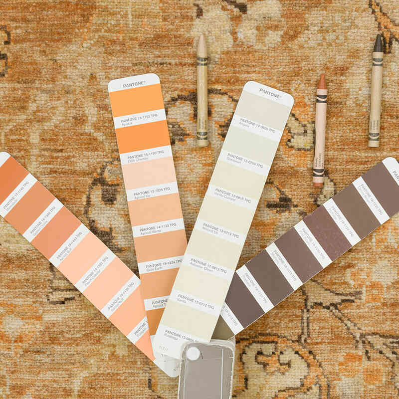 New Hand Knotted Wool Oushak Rug - 8' 11" x 9' 6" (107" x 114") - K0063230