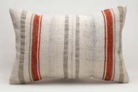 Kilim Pillow Cover - 2'  x 1' 4" (24" x 16")