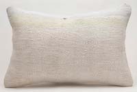 Kilim Pillow Cover - 2'  x 1' 4" (24" x 16")