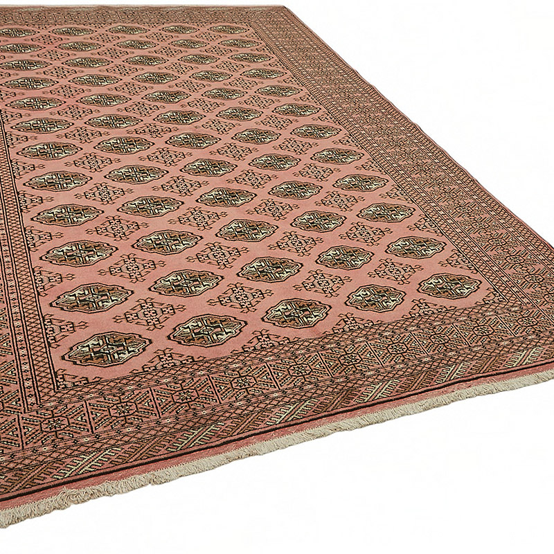 Nueva Alfombra Bokhara Anudada a Mano - K0086951