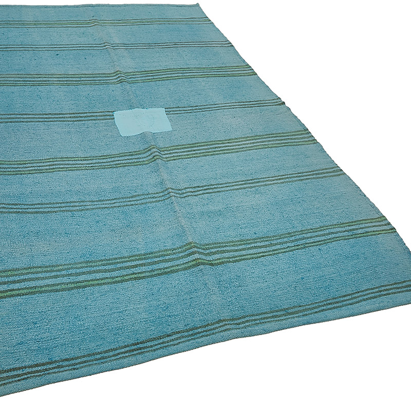 Boyali Vintage Anadolu Kendir Kilim - 150 cm x 268 cm - K0091277