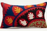 Uzbek Suzani Pillow Cover