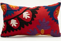 Uzbek Suzani Pillow Cover