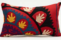 Uzbek Suzani Pillow Cover